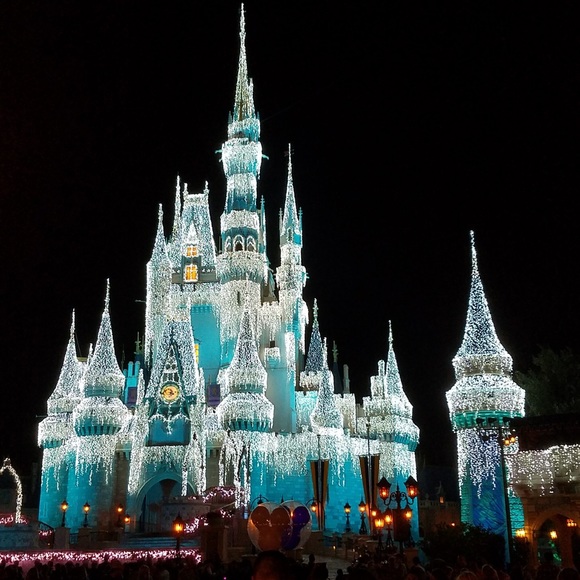 Meet your Posher, Amadea - Picture 1 of 3